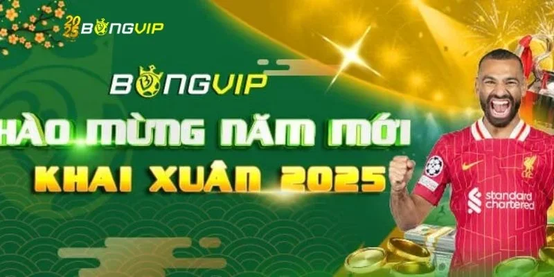 Giới thiệu Bongvip là thương hiệu dẫn đầu