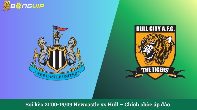 Soi kèo 21:00-19/09 Newcastle vs Hull – Chích chòe áp đảo