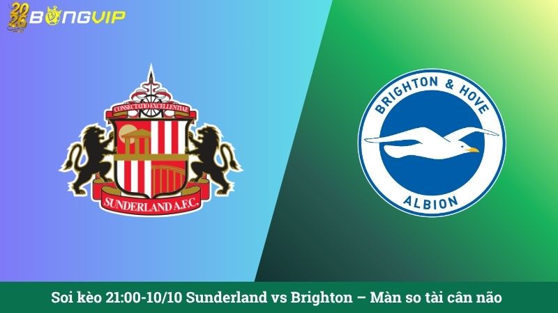 Soi kèo 21:00-10/10 Sunderland vs Brighton – Màn so tài cân não