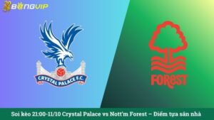 Soi kèo 21:00-11/10 Crystal Palace vs Nott'm Forest – Điểm tựa sân nhà