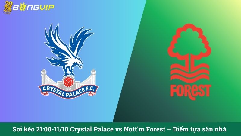Soi kèo 21:00-11/10 Crystal Palace vs Nott'm Forest – Điểm tựa sân nhà